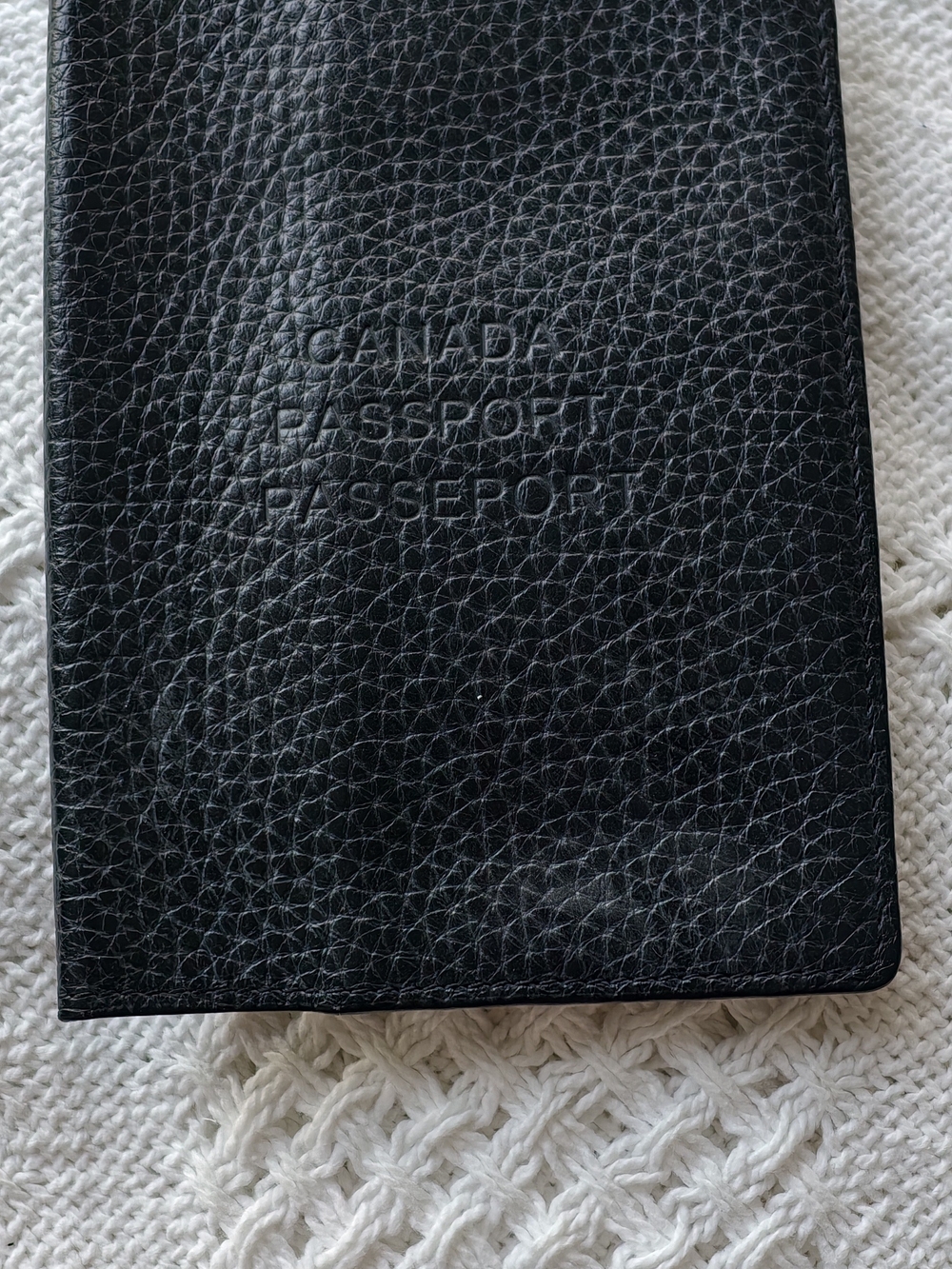 Danier Leather Passport Cover - Black